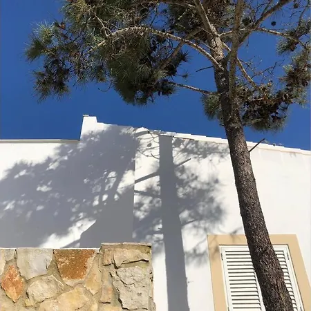 Arrifana House: Sea Bird Praia da Arrifana